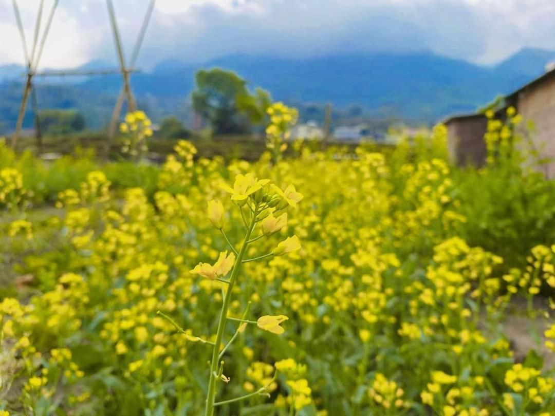 Sapafamily Eco别墅 外观 照片