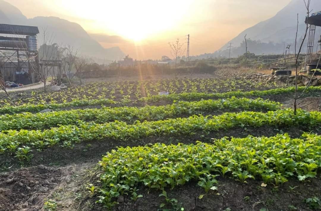 Sapafamily Eco别墅 外观 照片